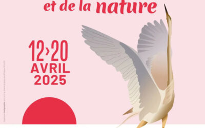 Festival de l’oiseau et de la nature 2025