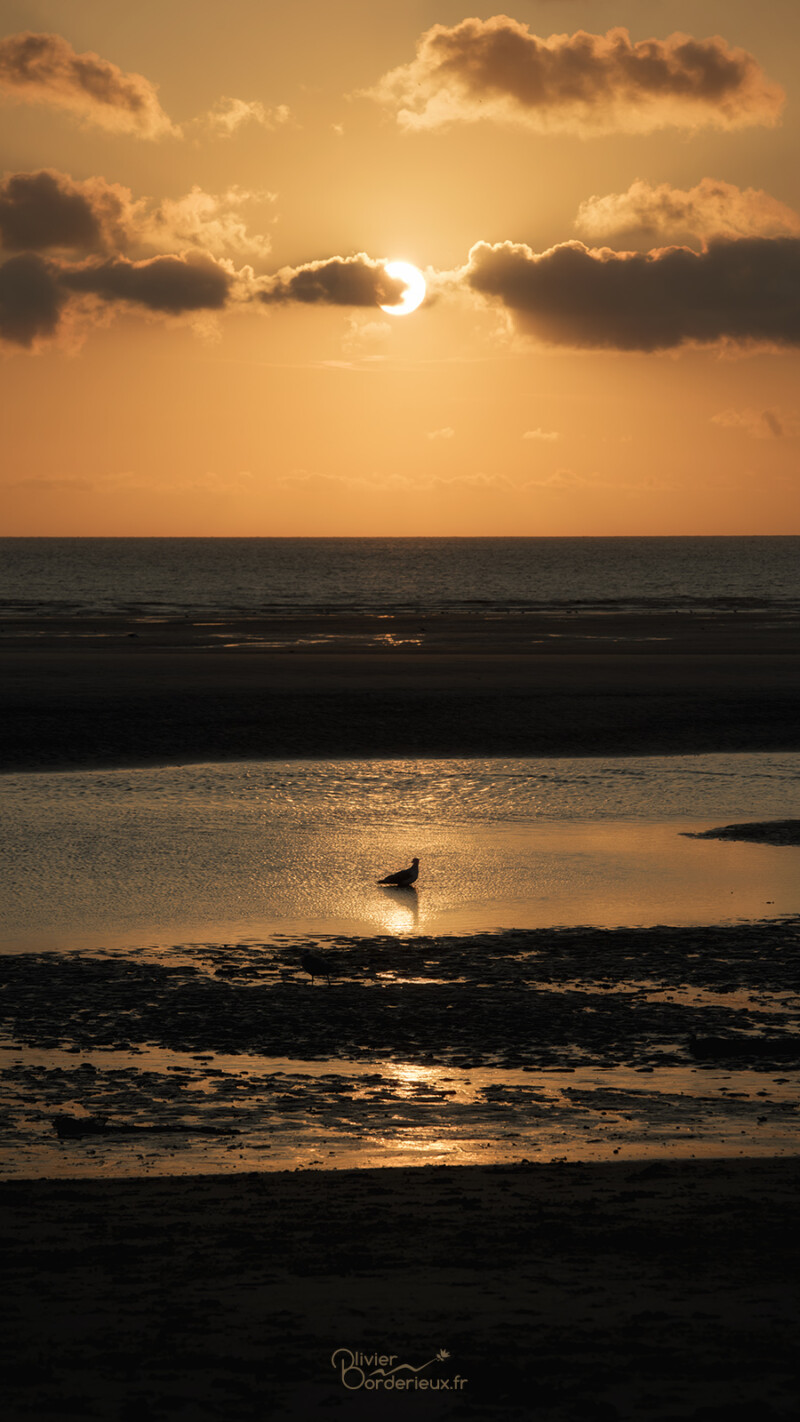 Fort-Mahon Plage Coucher de soleil à Fort-Mahon