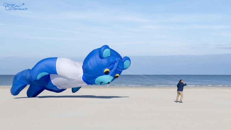Rencontres Internationales de Cerf-Volant de Berck-sur-Mer 2022 Un ourson prend son envol