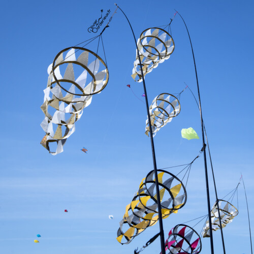 Rencontres Internationales de Cerf-Volant de Berck-sur-Mer 2022 Les jardins du vent