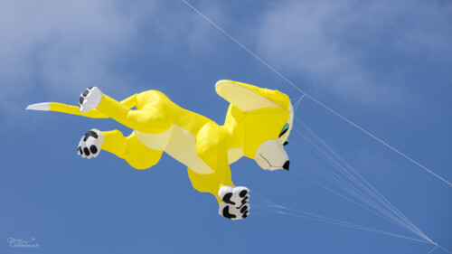 Rencontres Internationales de Cerf-Volant de Berck-sur-Mer 2022 Un cerfvolant à Berck