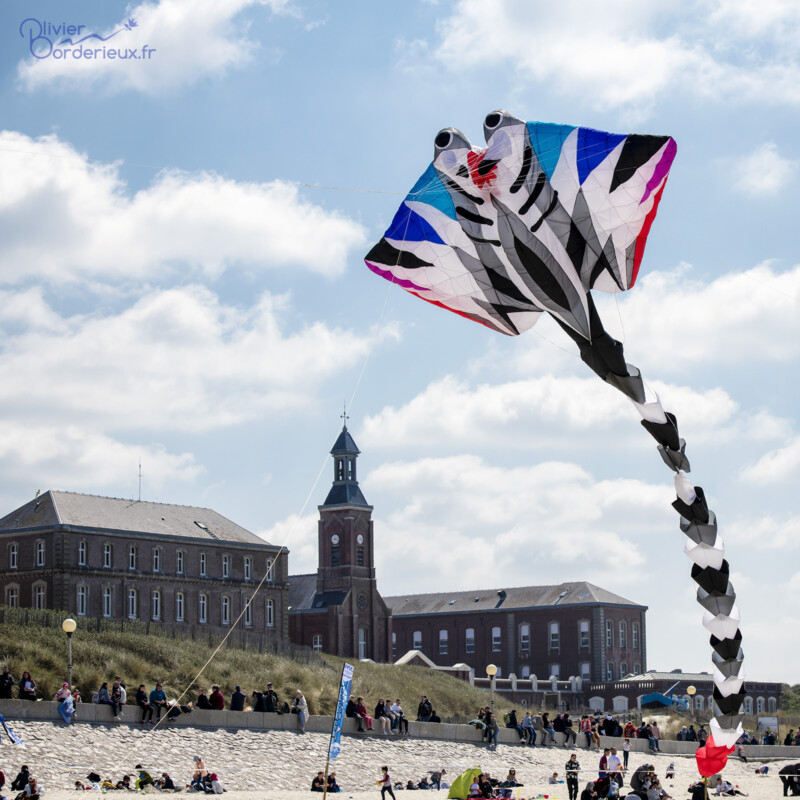 Rencontres Internationales de Cerf-Volant de Berck-sur-Mer 2022 Une petite raie à Berck-sur-Mer