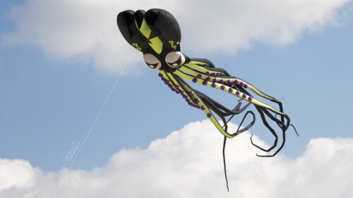 Rencontres Internationales de Cerf-Volant de Berck-sur-Mer 2022 Une pieuvre dans le ciel