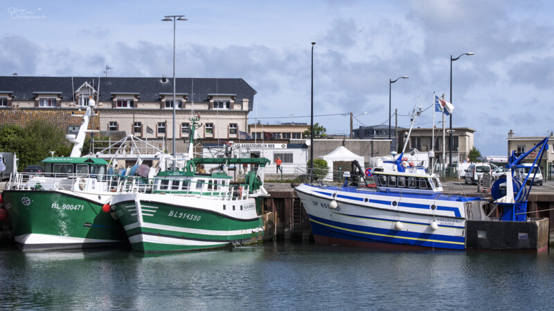 Le Tréport Bateaux de pêche