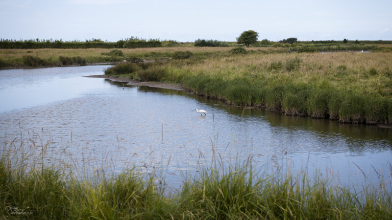Baie de Somme Baie de Somme