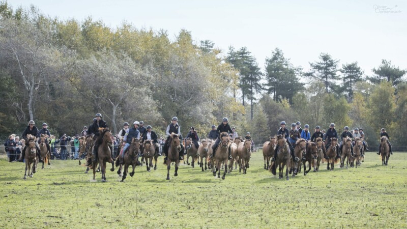 Trans'Henson 2022 Trans'Henson 2022