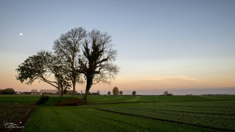Campagne à l'heure bleue