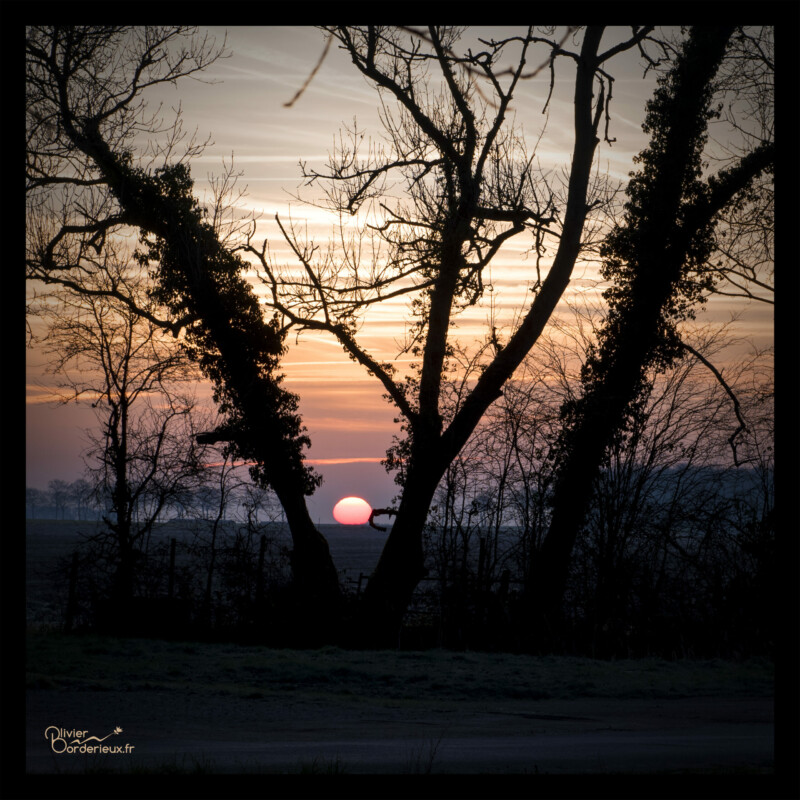 Noyelles-sur-Mer
09/02/2023 Lever de soleil à Noyelles-sur-Mer