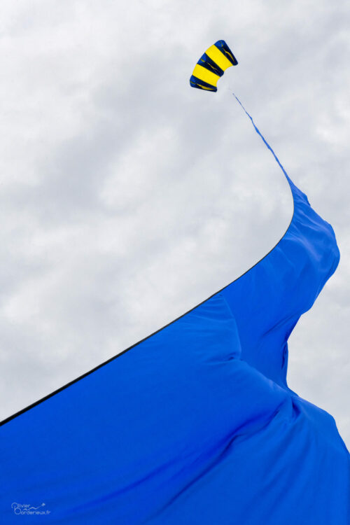 Ruban bleu